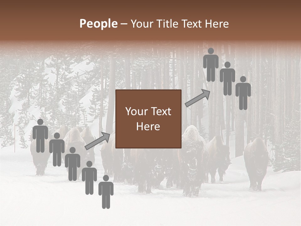 A Herd Of Bison Walking Through A Snow Covered Forest PowerPoint Template