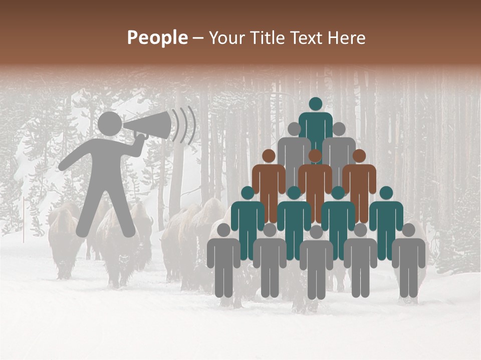 A Herd Of Bison Walking Through A Snow Covered Forest PowerPoint Template
