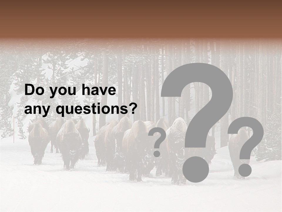 A Herd Of Bison Walking Through A Snow Covered Forest PowerPoint Template