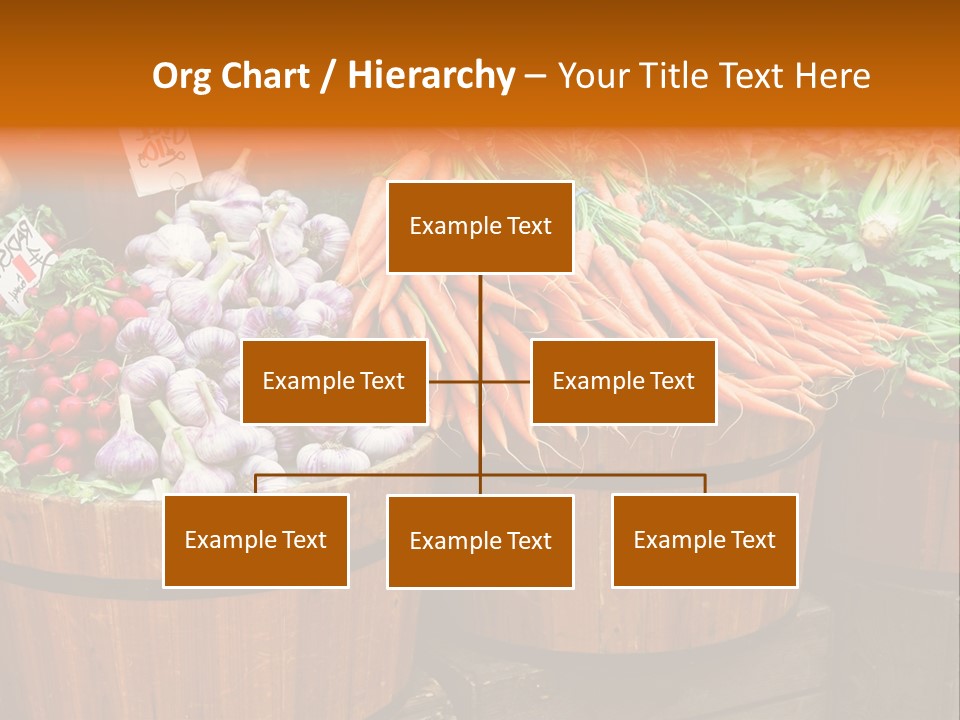 Fresh Organic Vegetables In Big Wooden Buckets PowerPoint Template