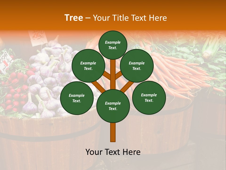 Fresh Organic Vegetables In Big Wooden Buckets PowerPoint Template
