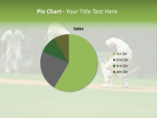 A Cricket Batsman Ready To Bat. PowerPoint Template