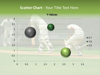 A Cricket Batsman Ready To Bat. PowerPoint Template