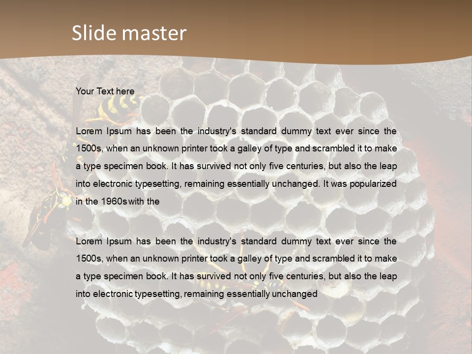 Hornet Nest PowerPoint Template