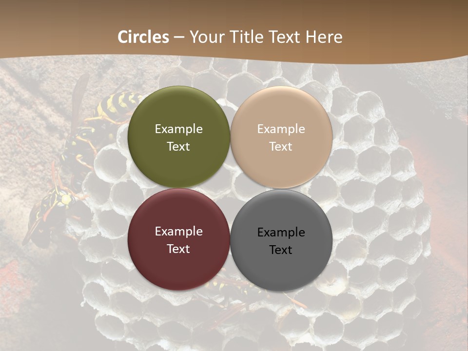 Hornet Nest PowerPoint Template