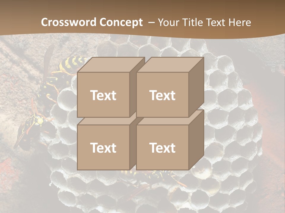 Hornet Nest PowerPoint Template