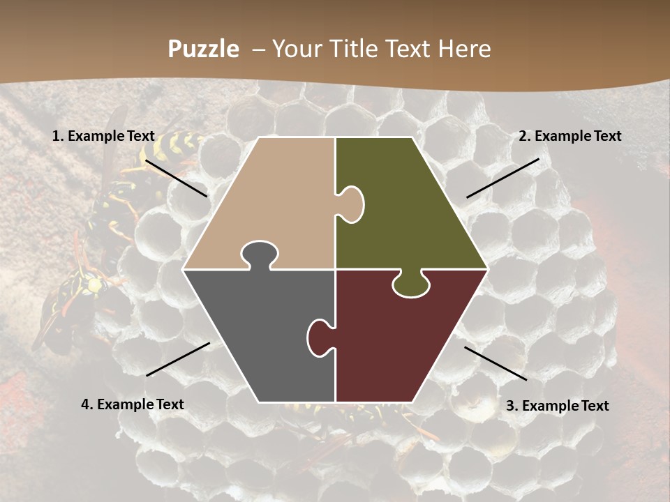 Hornet Nest PowerPoint Template