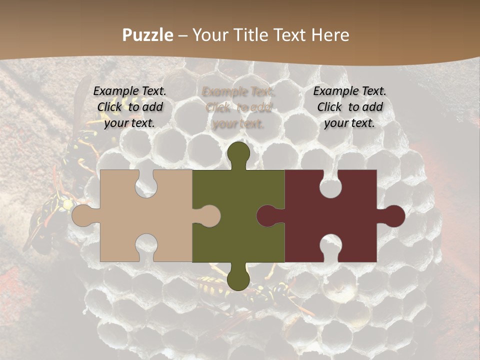 Hornet Nest PowerPoint Template