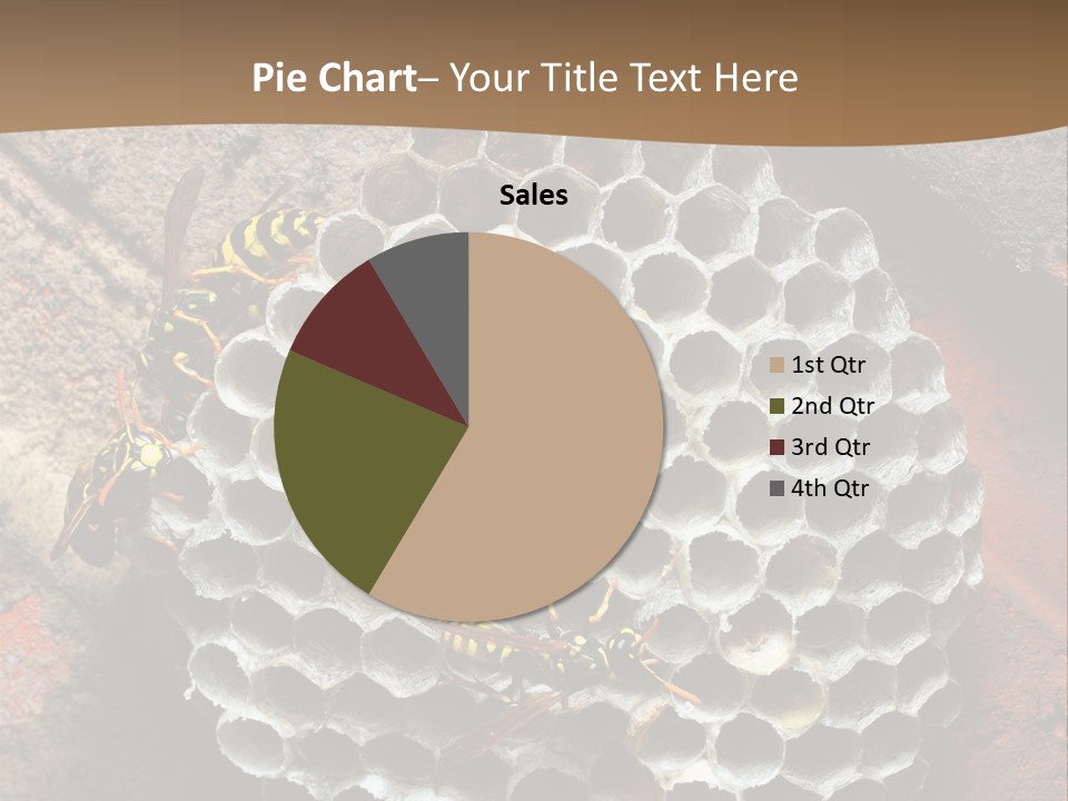 Hornet Nest PowerPoint Template