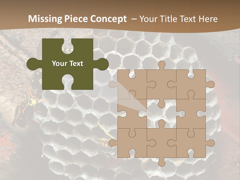 Hornet Nest PowerPoint Template
