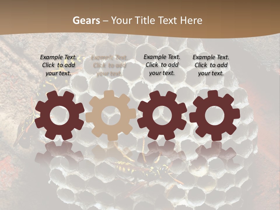 Hornet Nest PowerPoint Template