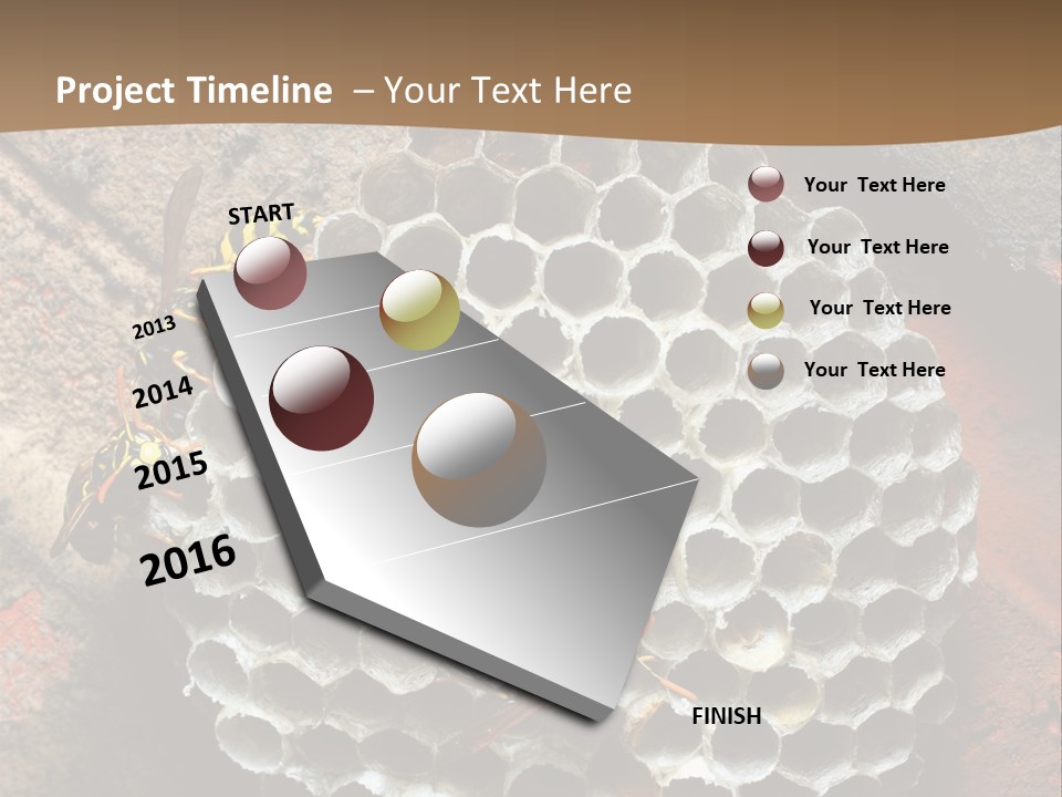 Hornet Nest PowerPoint Template