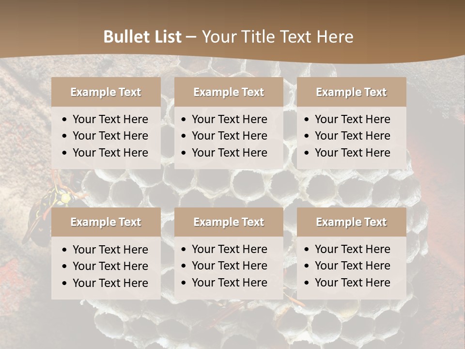 Hornet Nest PowerPoint Template