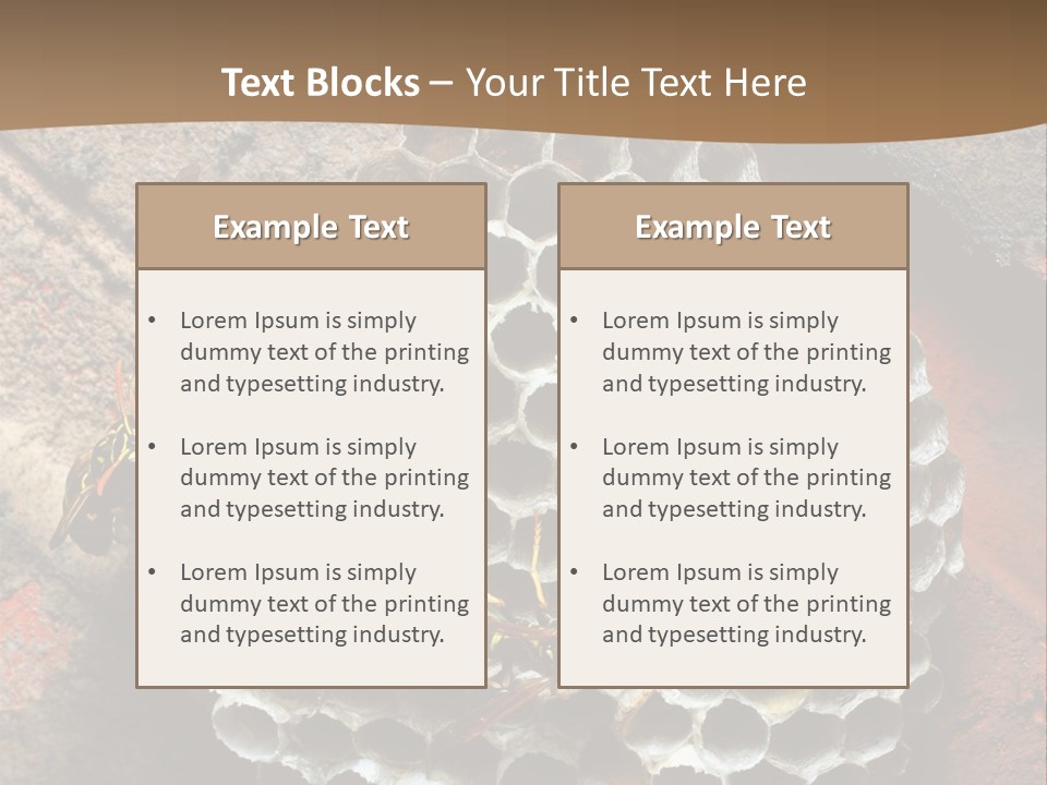 Hornet Nest PowerPoint Template