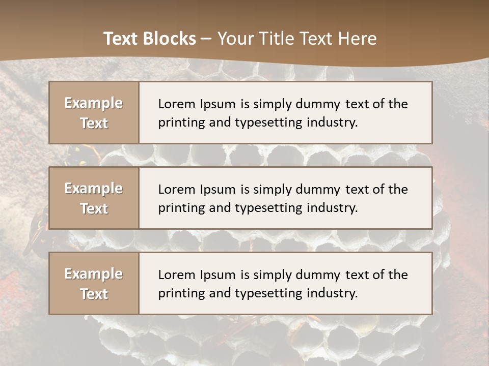 Hornet Nest PowerPoint Template