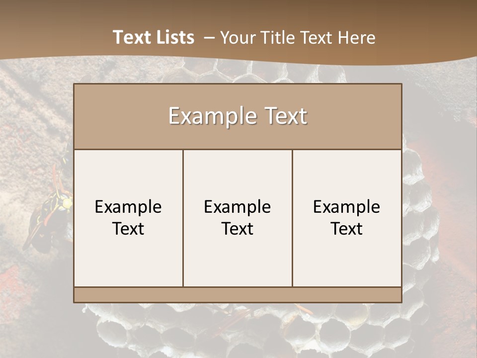 Hornet Nest PowerPoint Template