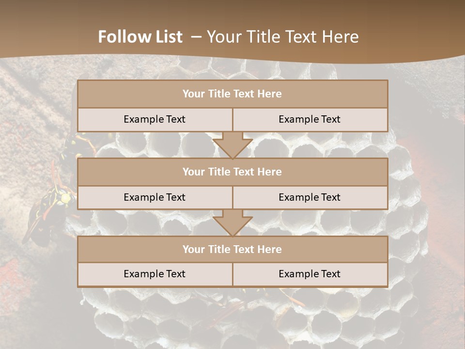 Hornet Nest PowerPoint Template