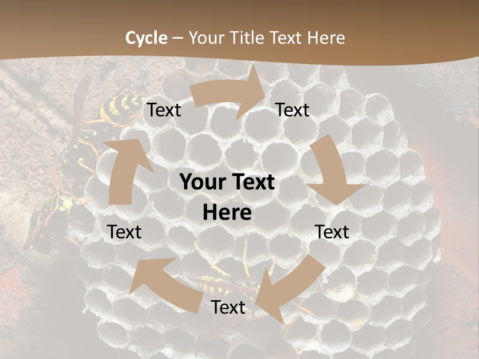 Hornet Nest PowerPoint Template