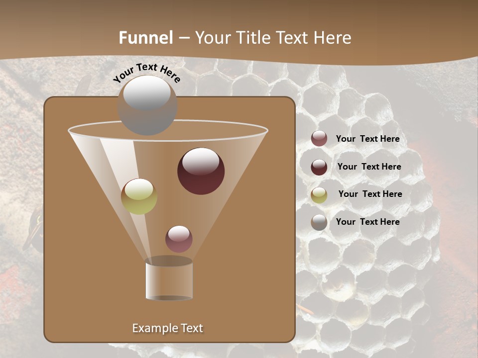 Hornet Nest PowerPoint Template