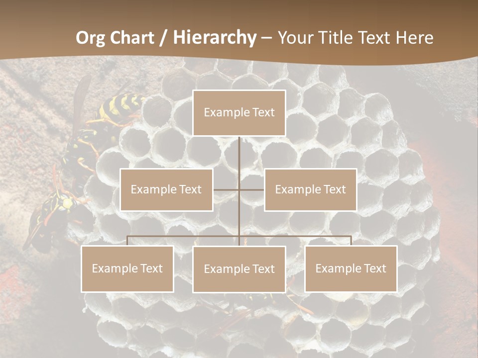 Hornet Nest PowerPoint Template