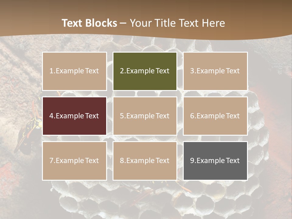 Hornet Nest PowerPoint Template