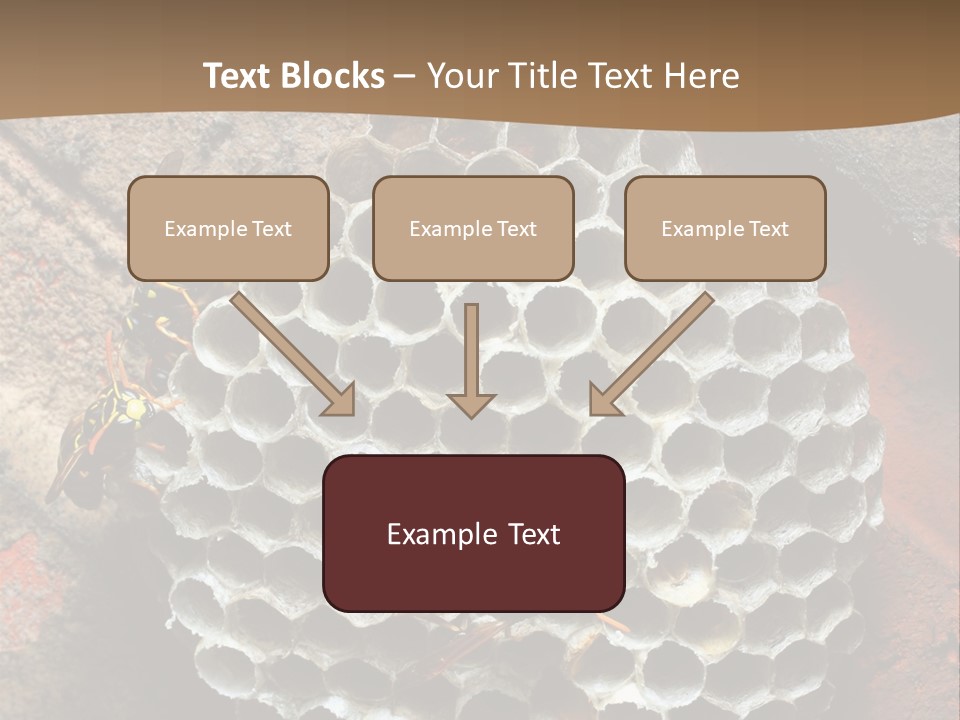 Hornet Nest PowerPoint Template