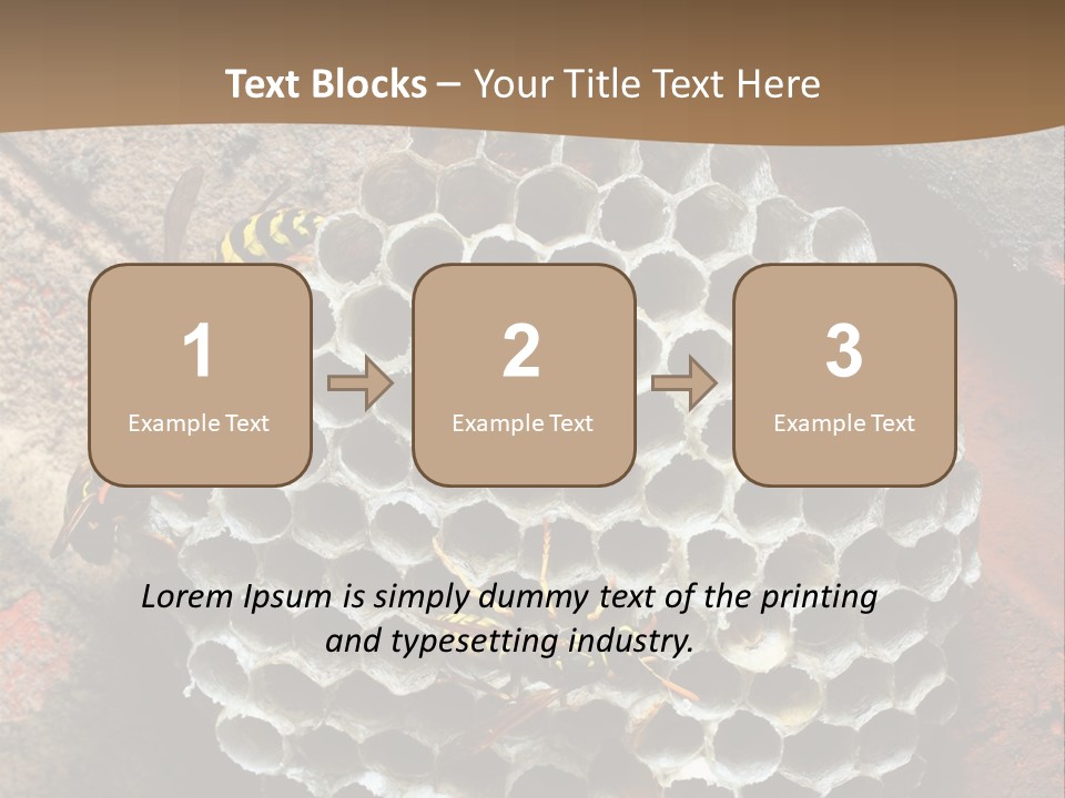 Hornet Nest PowerPoint Template