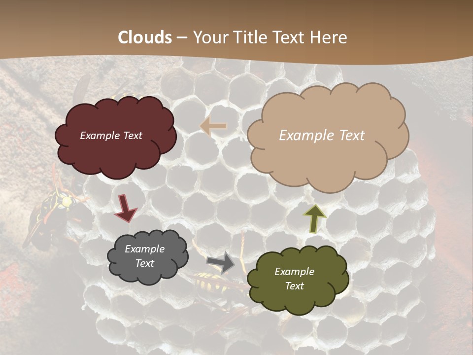 Hornet Nest PowerPoint Template