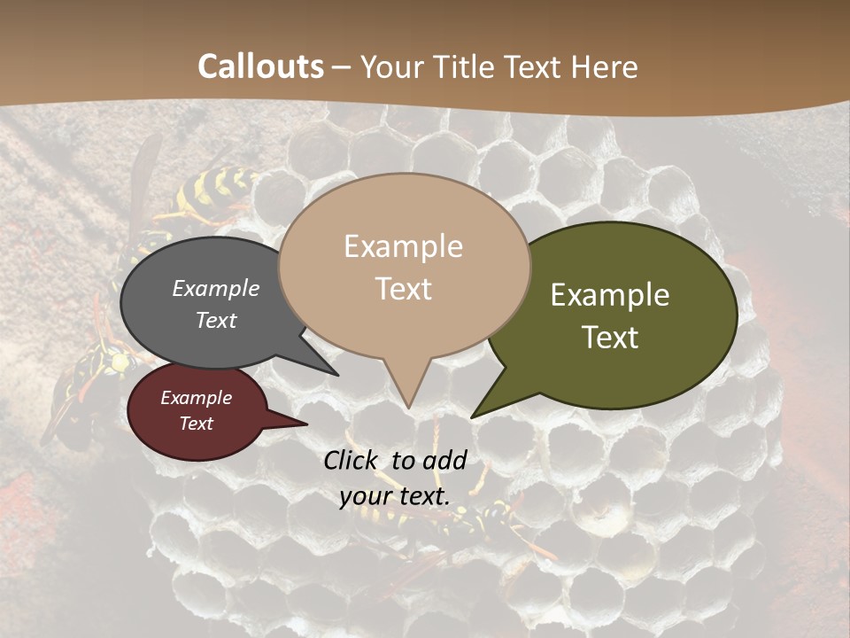 Hornet Nest PowerPoint Template