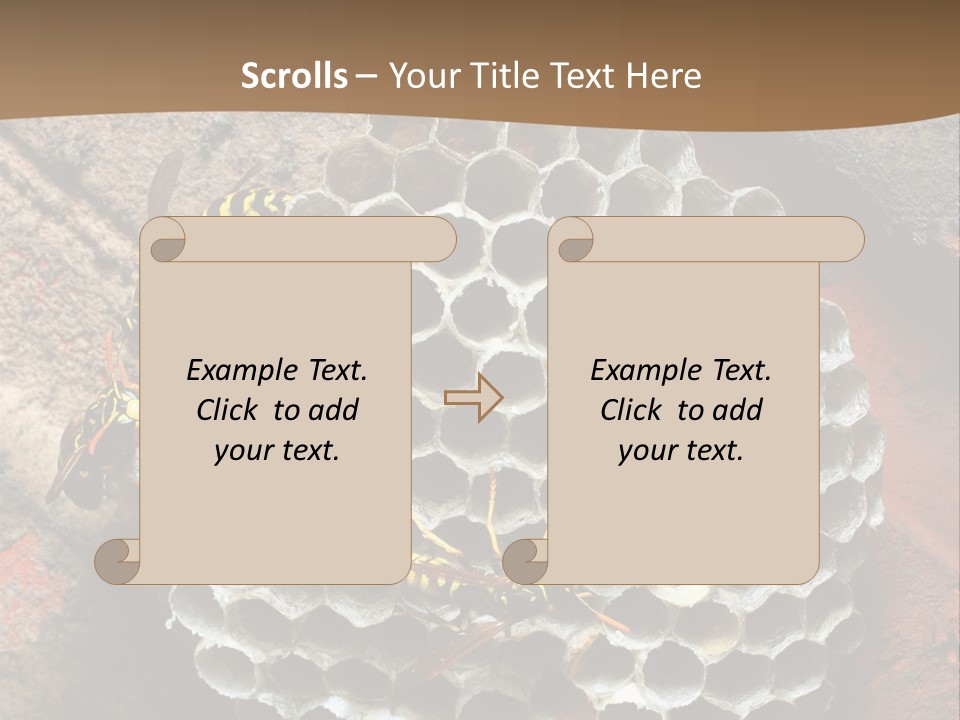 Hornet Nest PowerPoint Template