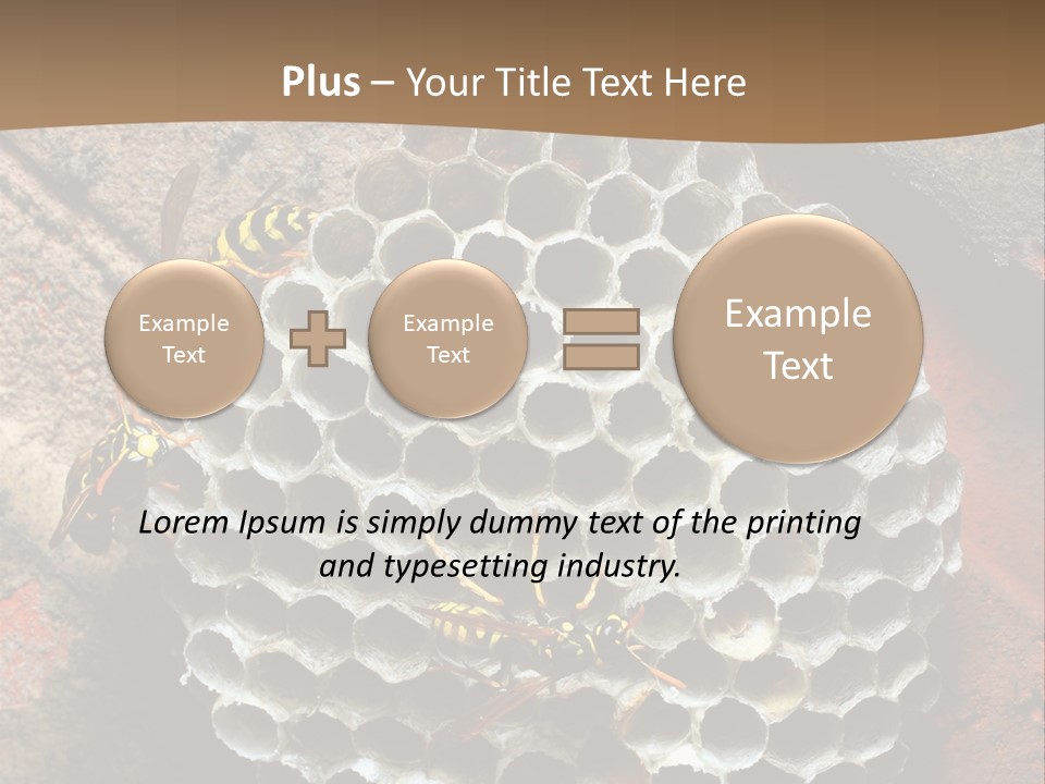 Hornet Nest PowerPoint Template