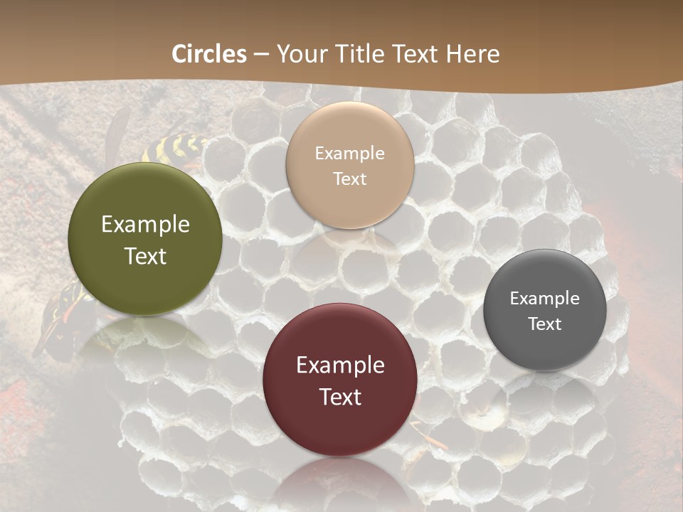 Hornet Nest PowerPoint Template