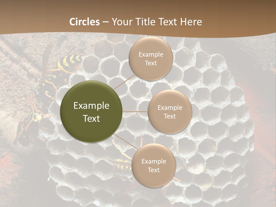 Hornet Nest PowerPoint Template