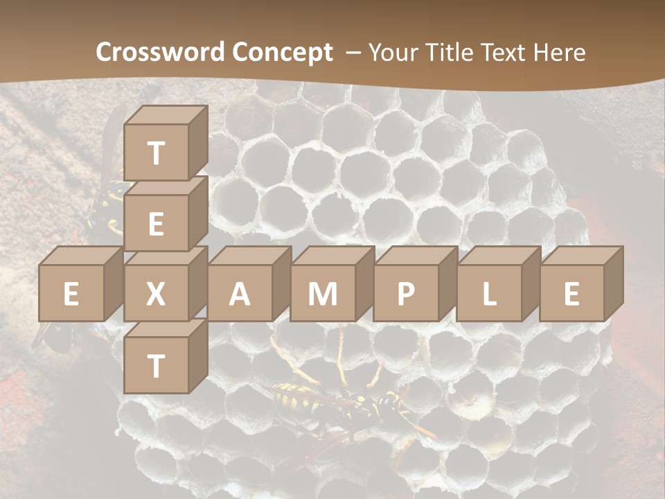 Hornet Nest PowerPoint Template