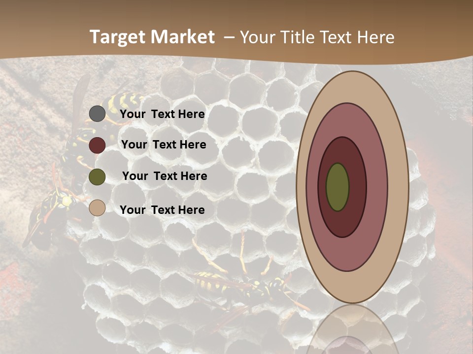 Hornet Nest PowerPoint Template
