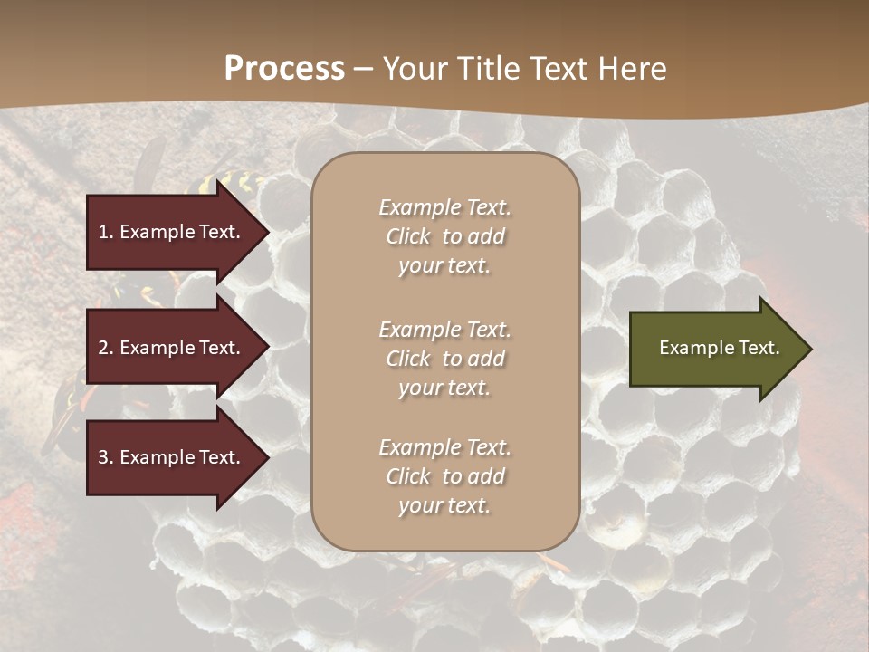 Hornet Nest PowerPoint Template