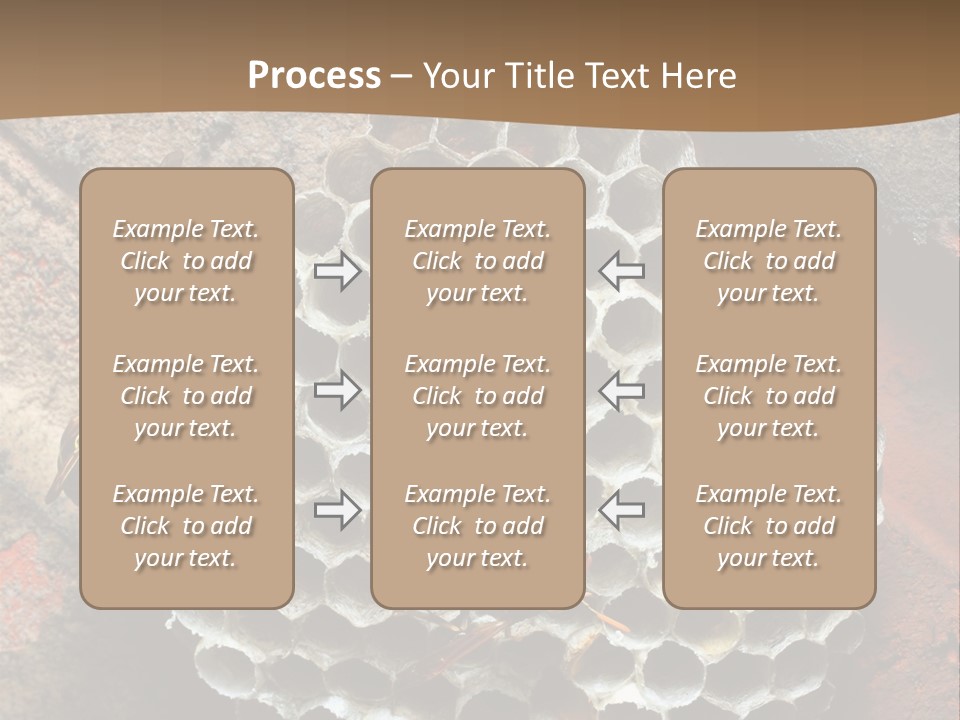 Hornet Nest PowerPoint Template