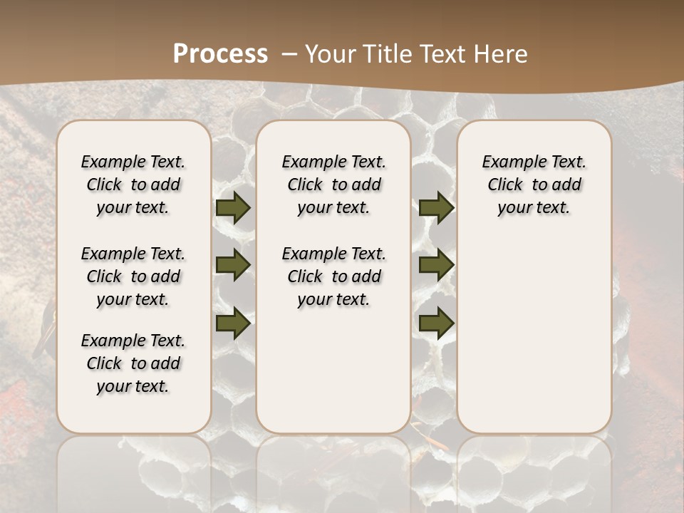 Hornet Nest PowerPoint Template