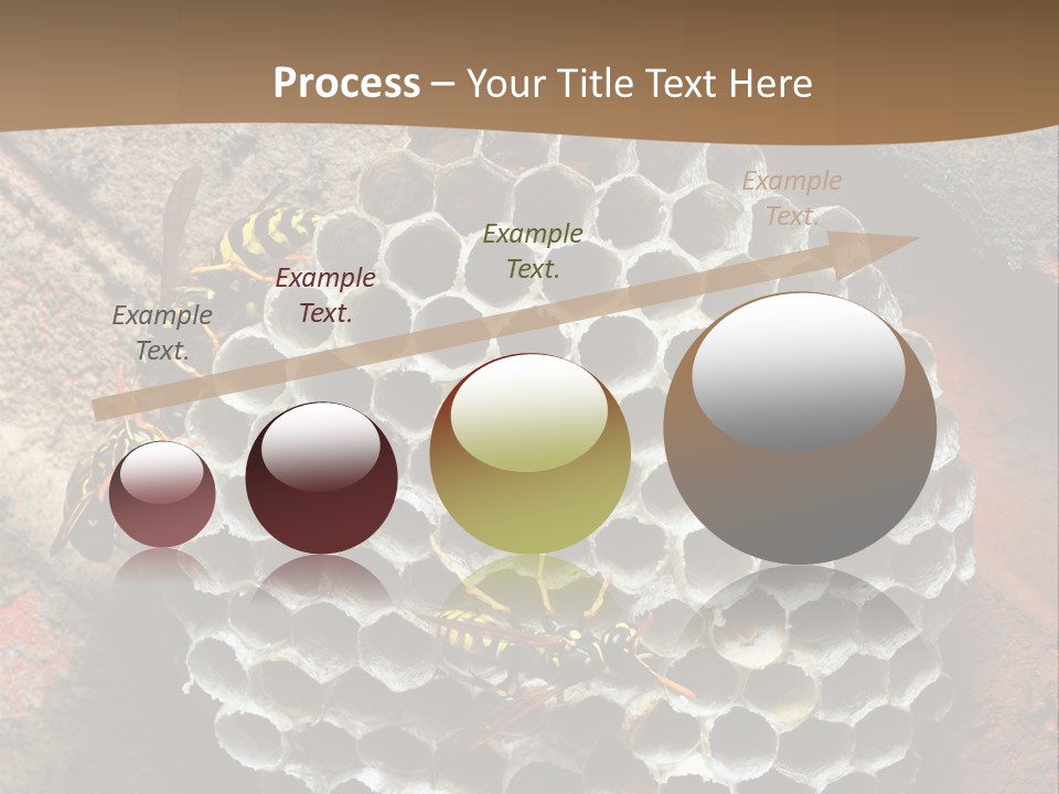 Hornet Nest PowerPoint Template