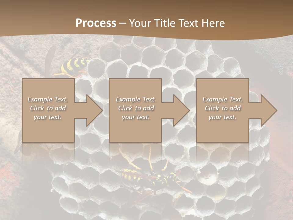Hornet Nest PowerPoint Template