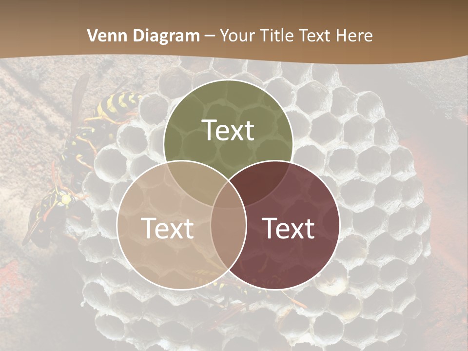 Hornet Nest PowerPoint Template
