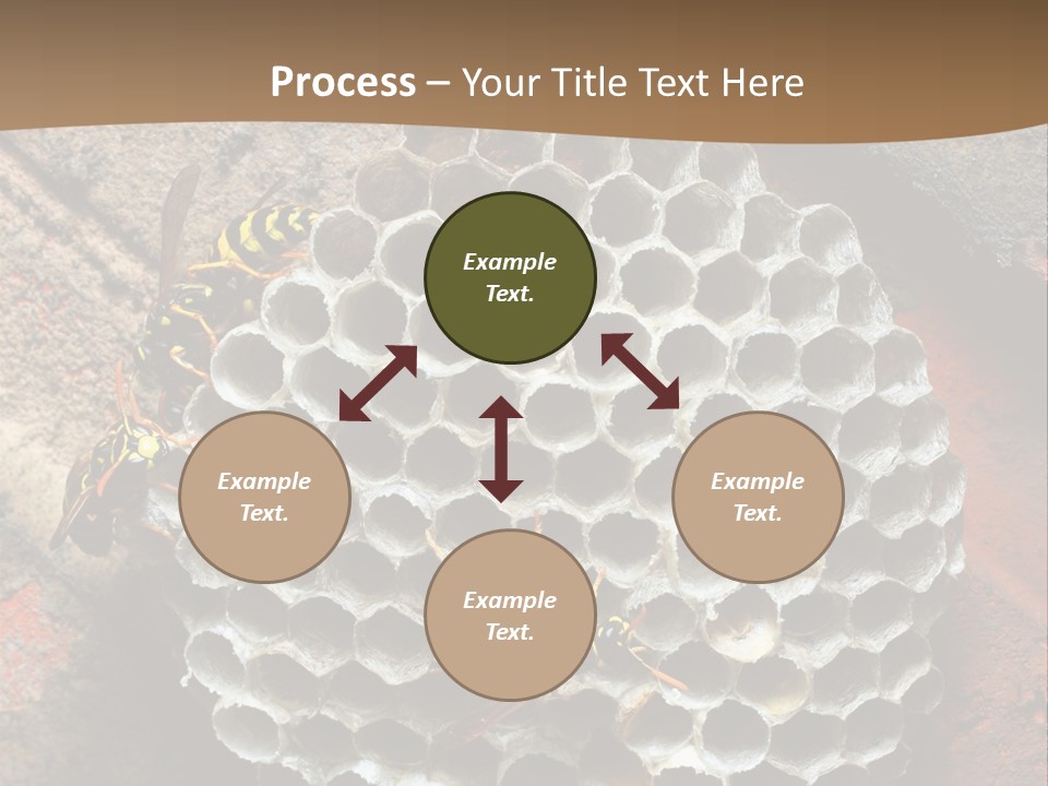 Hornet Nest PowerPoint Template