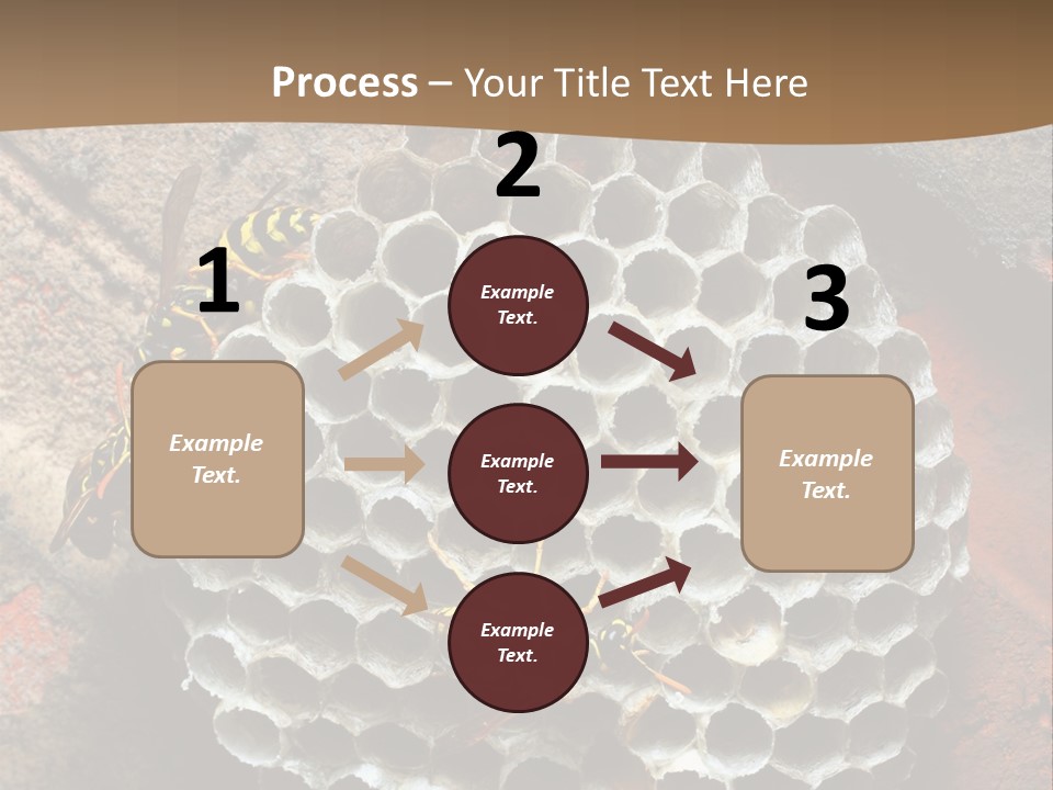 Hornet Nest PowerPoint Template