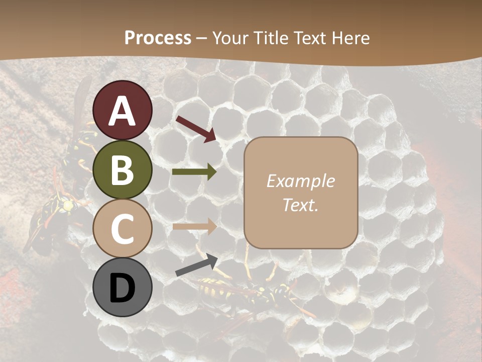 Hornet Nest PowerPoint Template