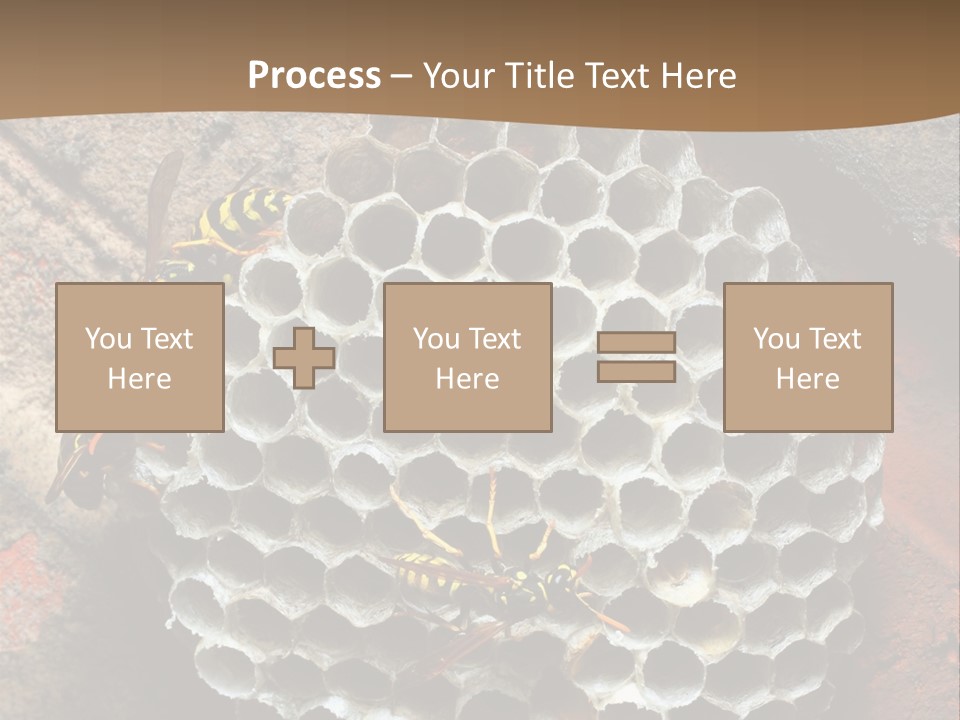 Hornet Nest PowerPoint Template
