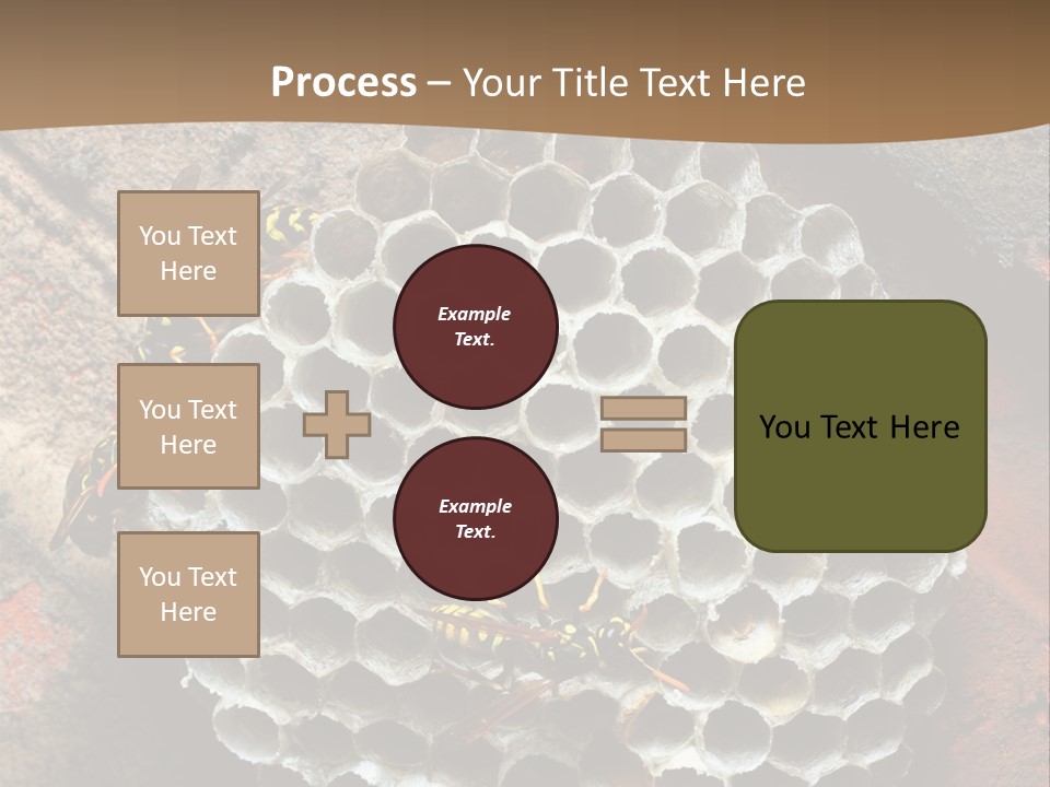 Hornet Nest PowerPoint Template