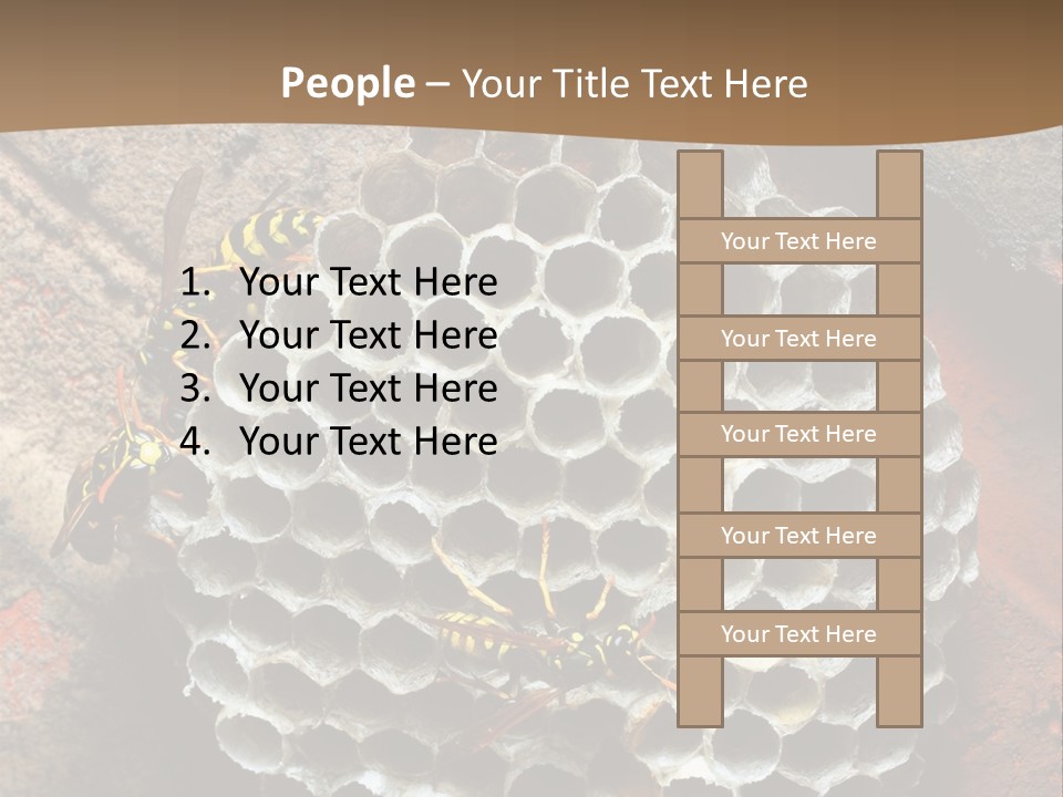 Hornet Nest PowerPoint Template