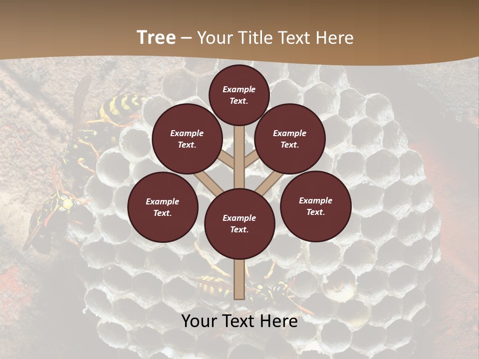 Hornet Nest PowerPoint Template