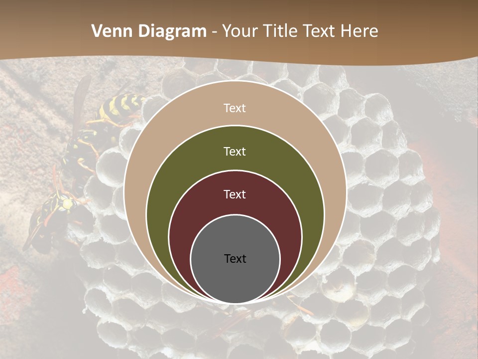 Hornet Nest PowerPoint Template