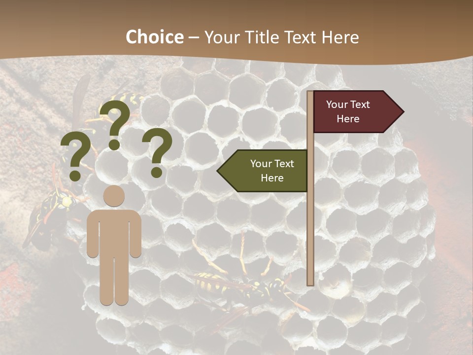 Hornet Nest PowerPoint Template